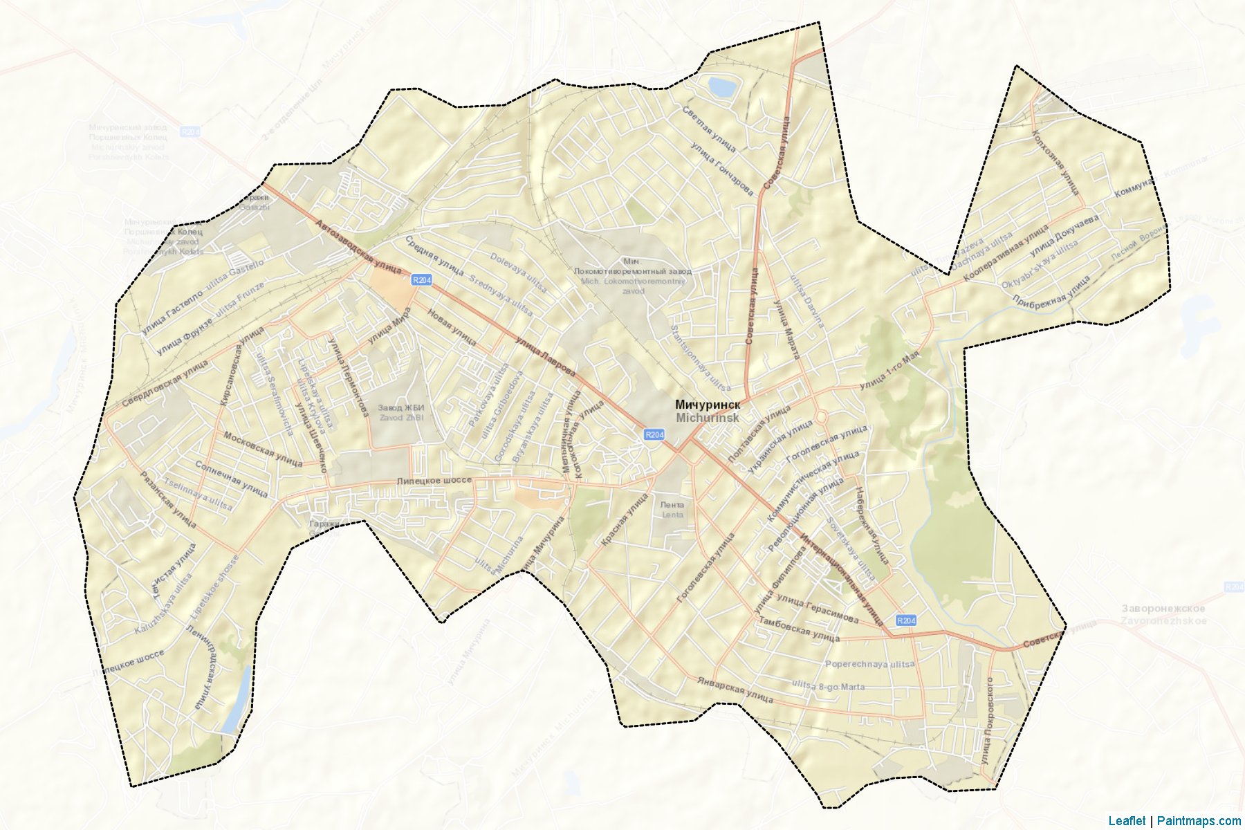 Muestras de recorte de mapas Michurinsk (Tambov)-2