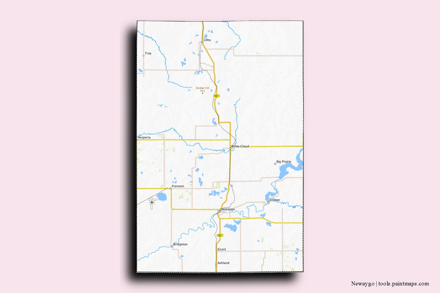 Mapa de barrios y pueblos de Newaygo con efecto de sombra 3D